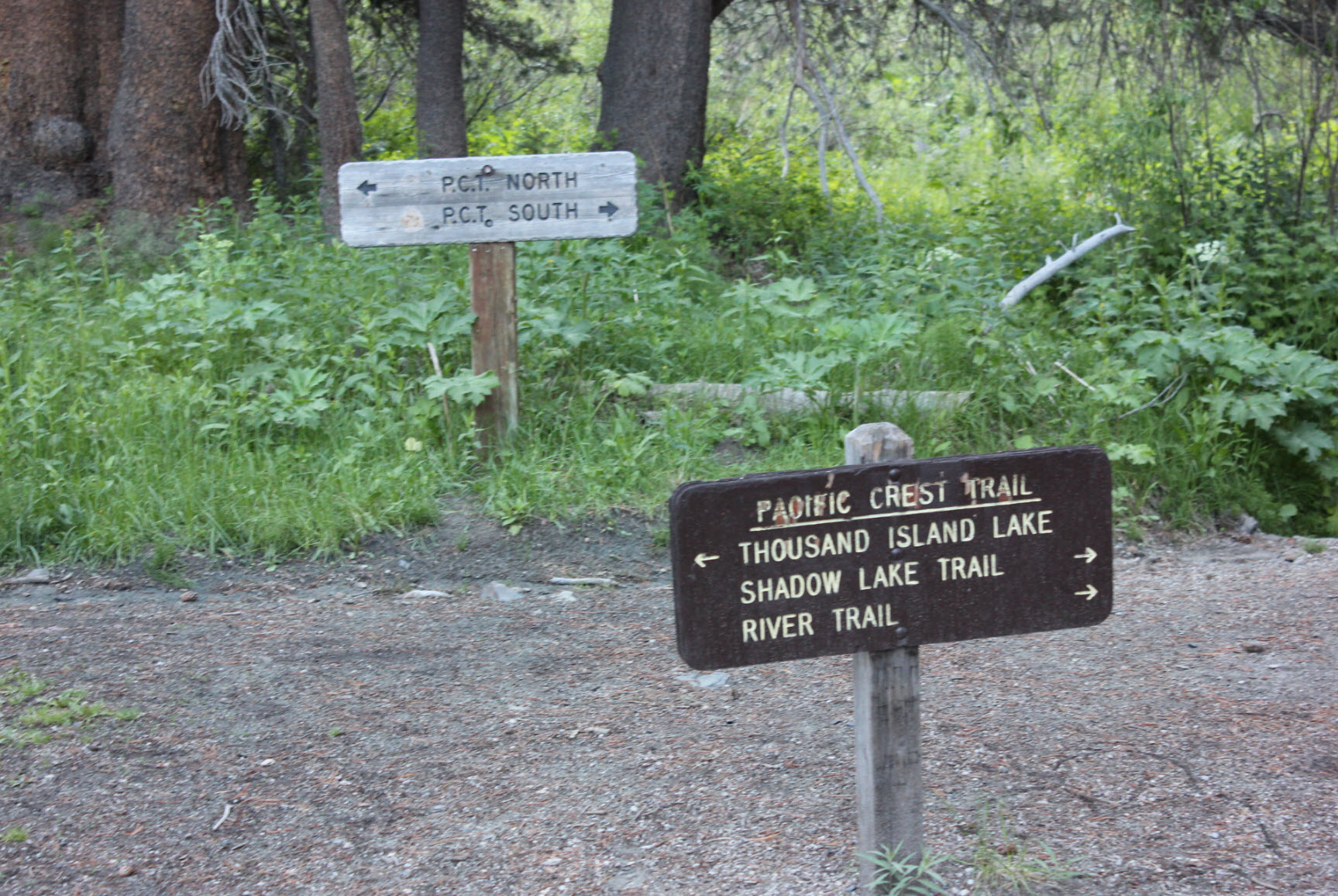 Trail markers