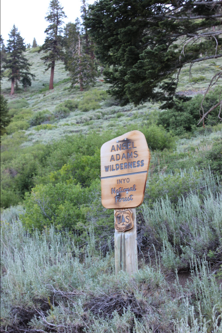 Entering Wilderness