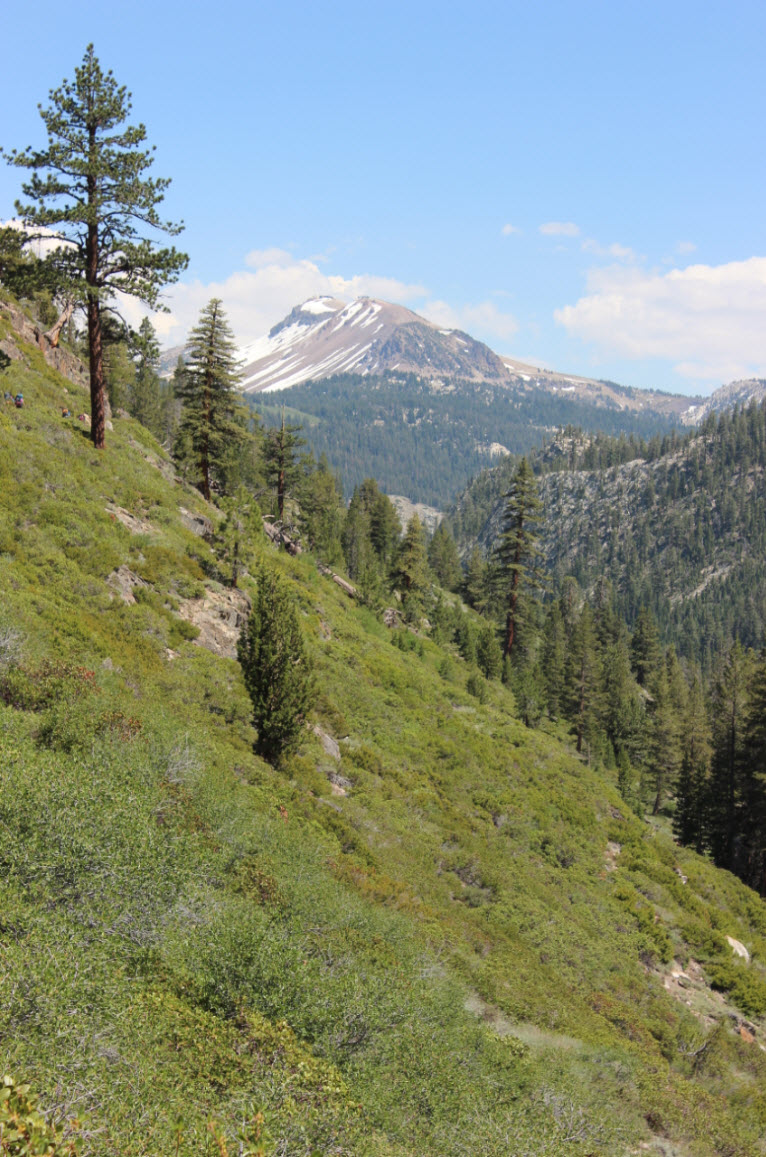 Mammoth Mountain