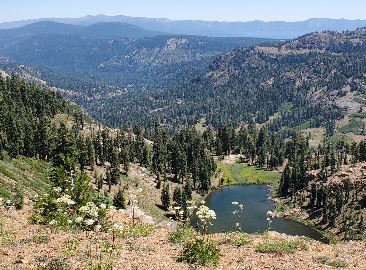 Estelle Lake