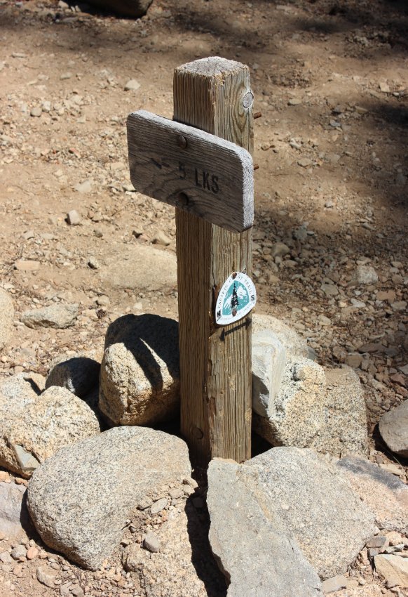 PCT Connector