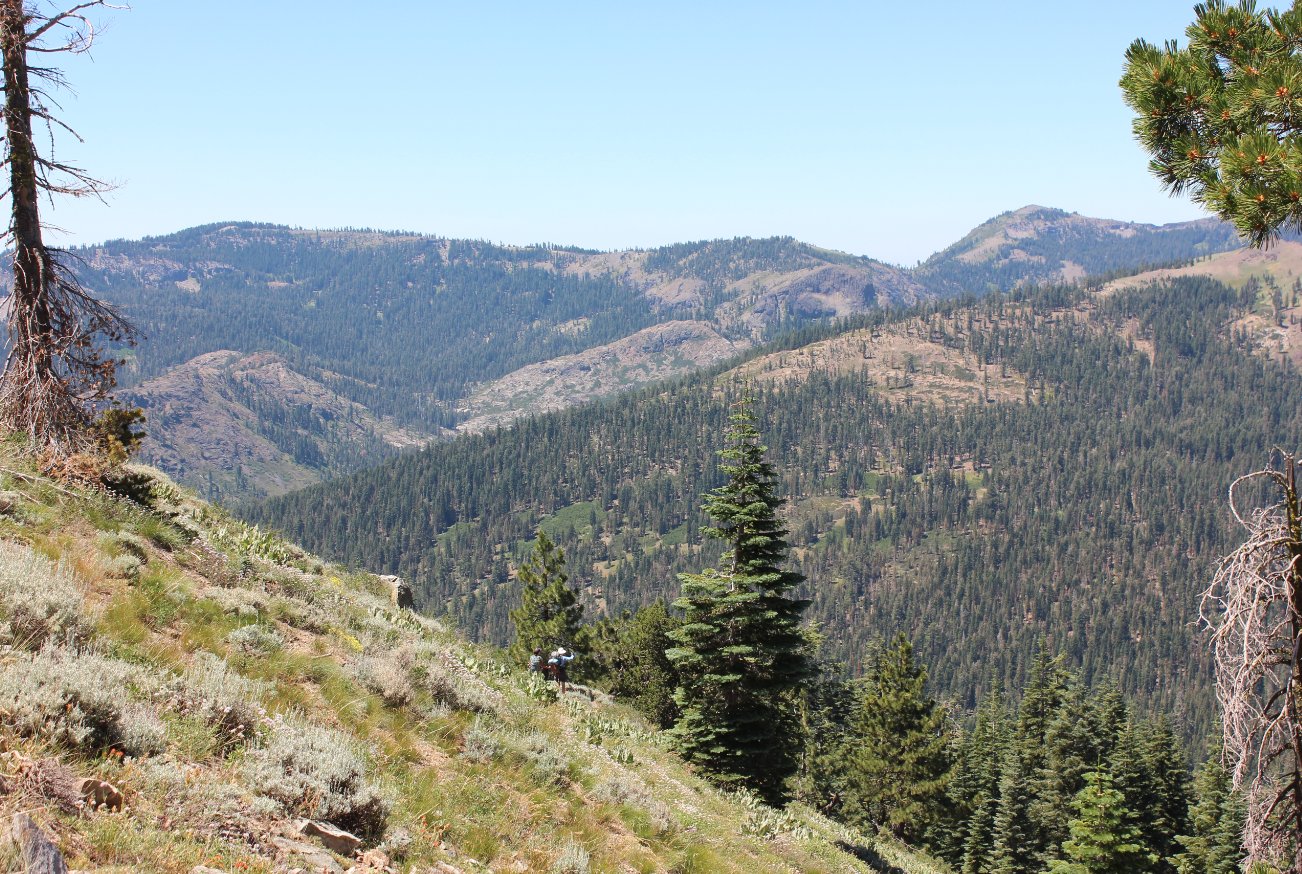 Mt Mildred