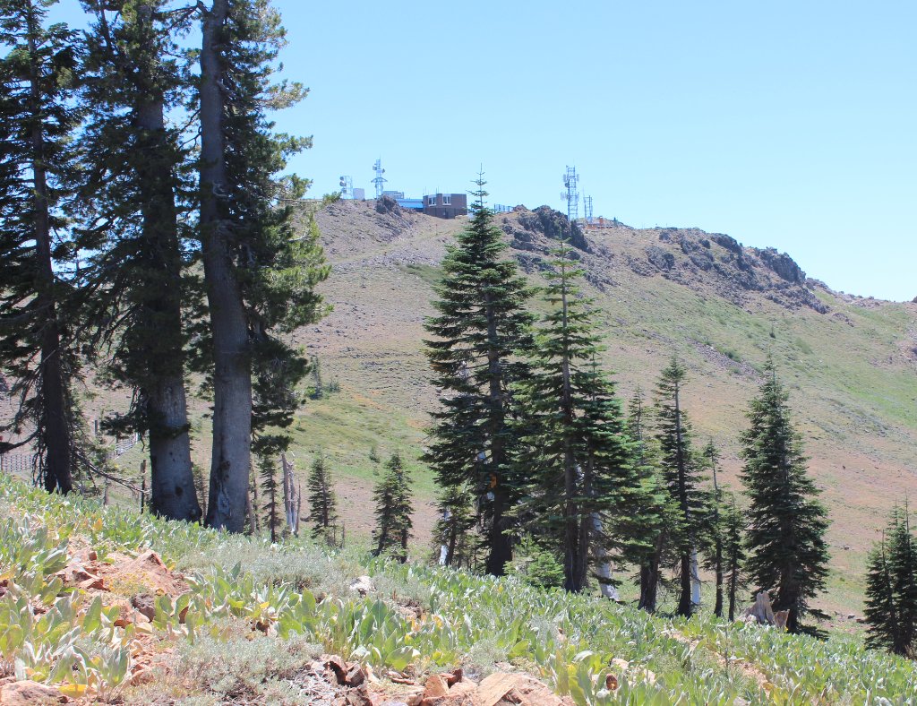 Toward Ward Peak