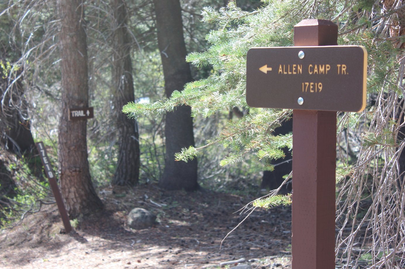 Start of the trail