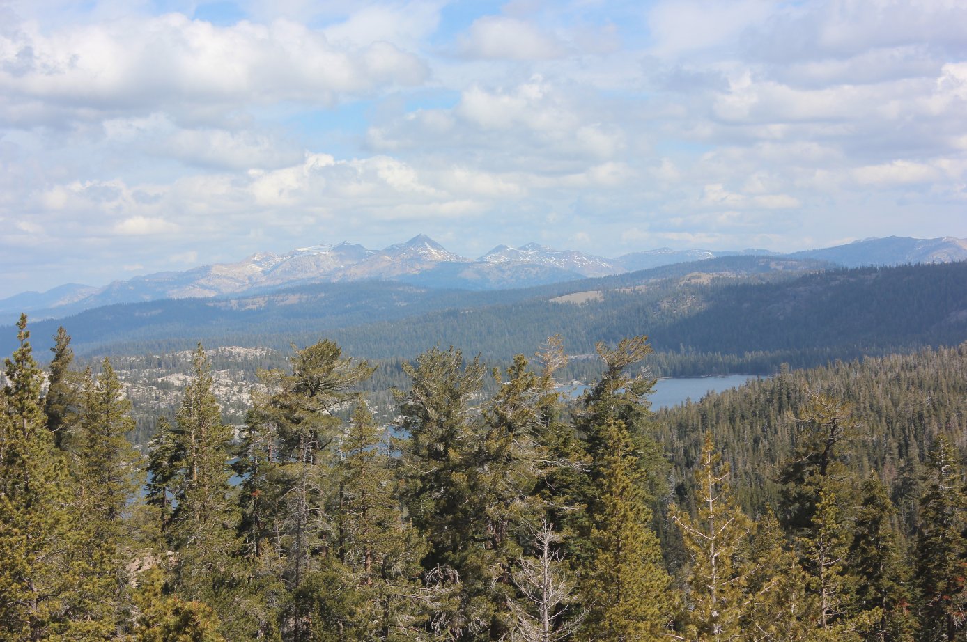 Vista