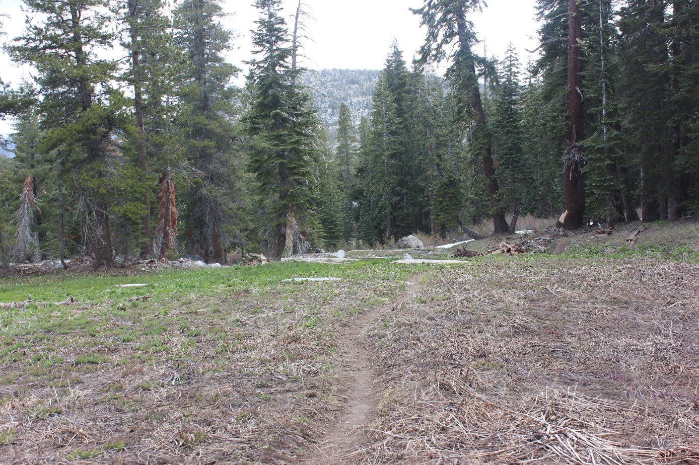 Hidden Lake trail