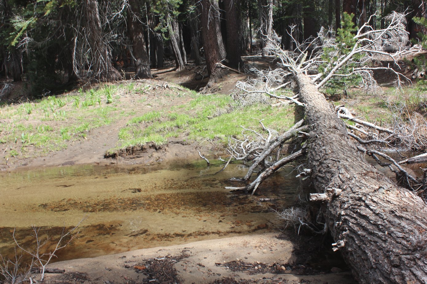 Log crossings