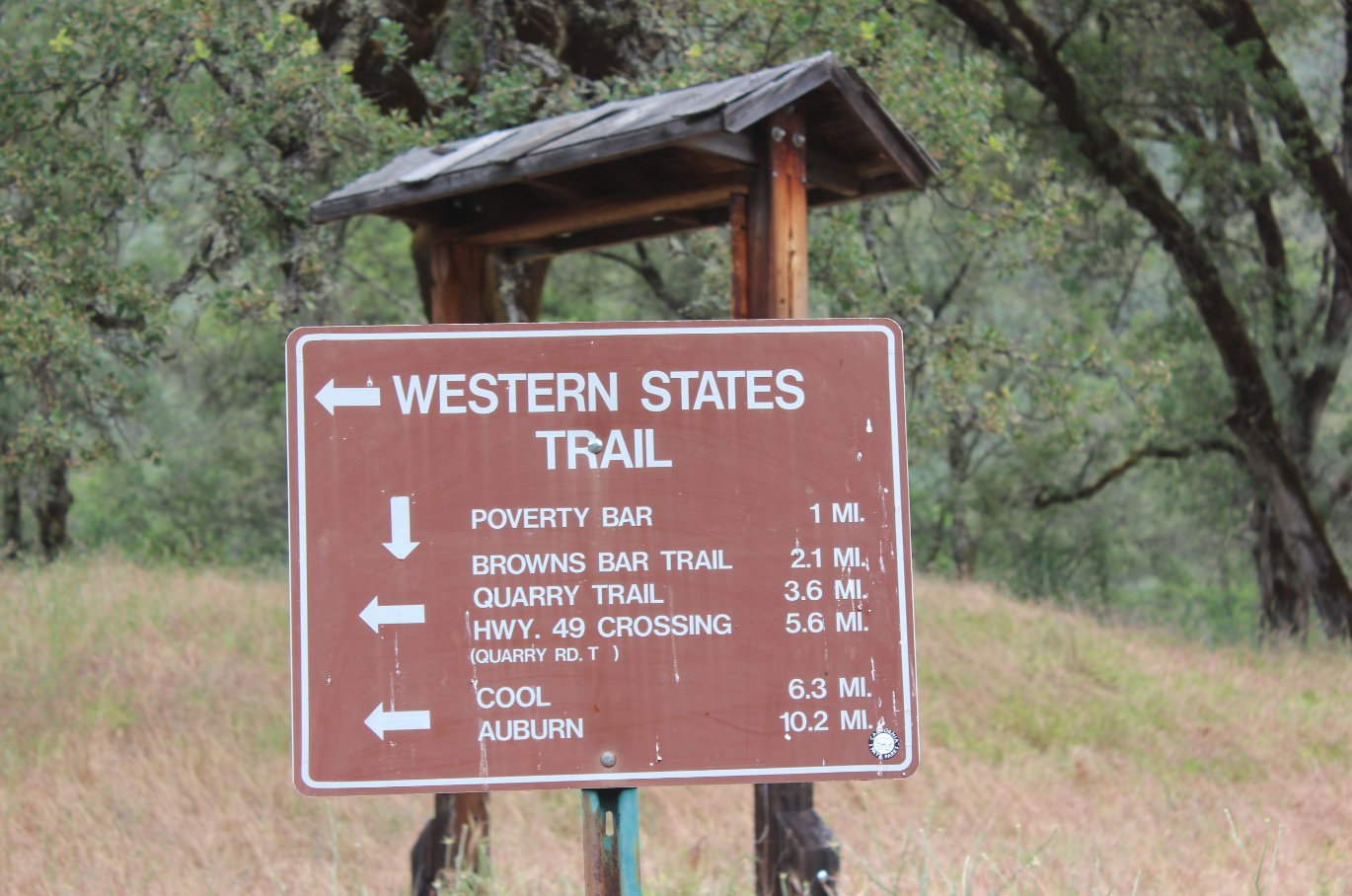 Lunch spot signs
