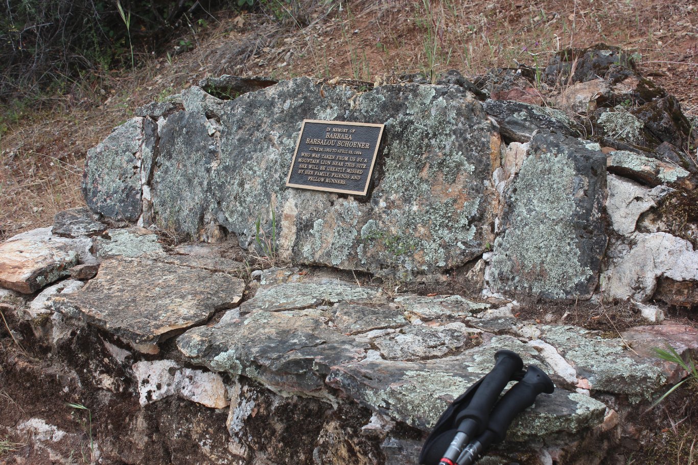 Memorial Bench