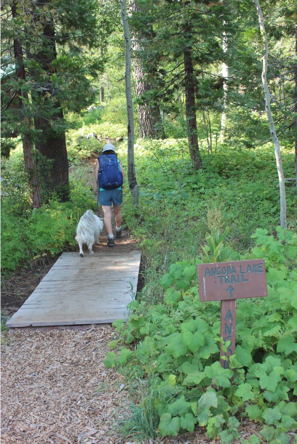 At the trailhead