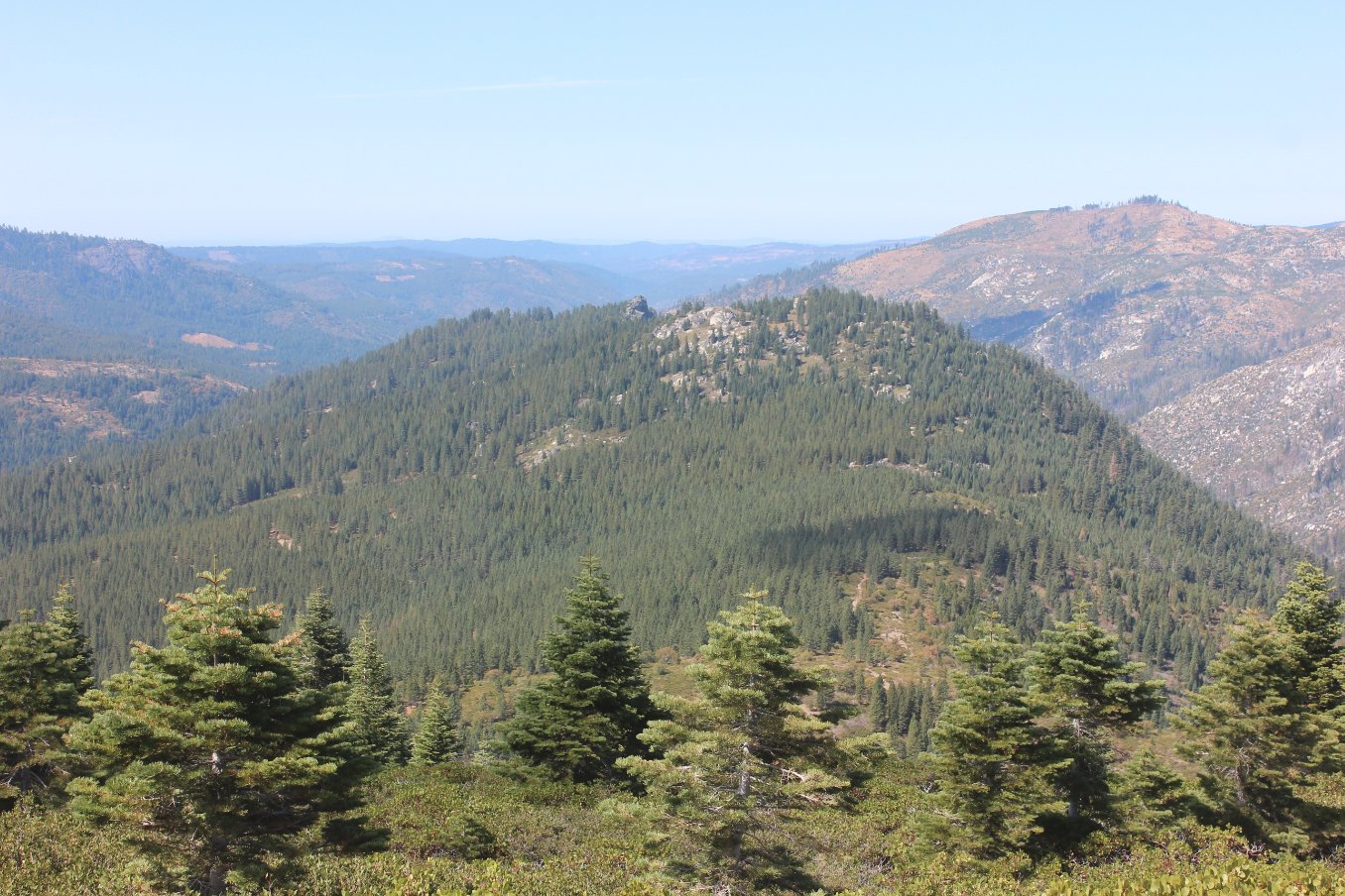 Eagle Rock