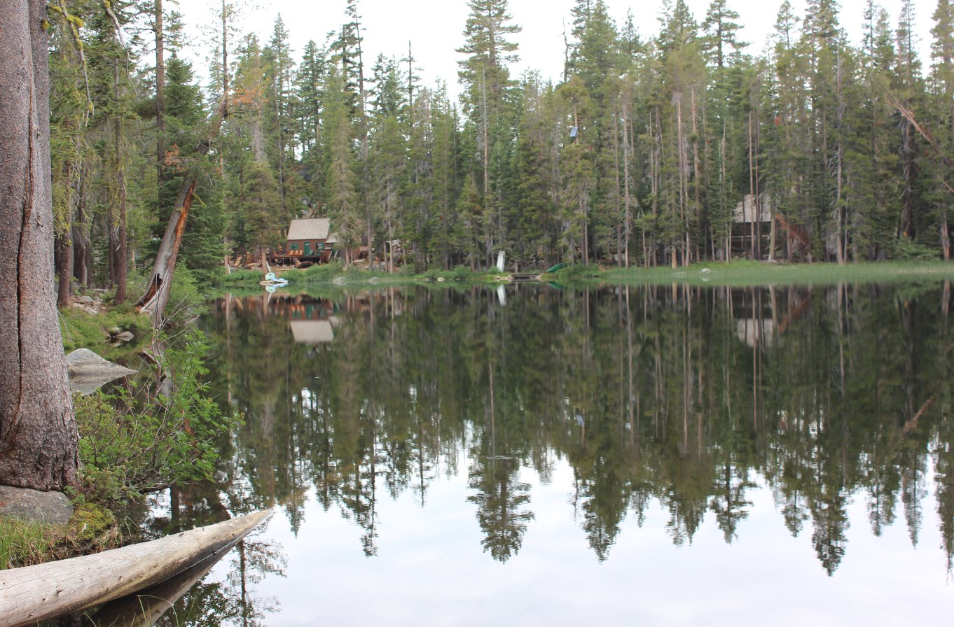 Dark Lake