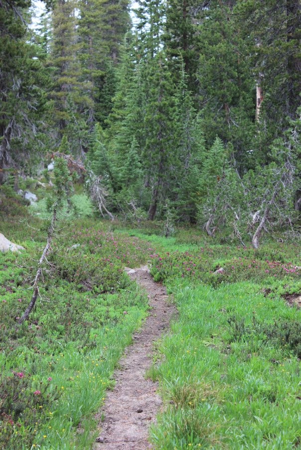Desolation Trail