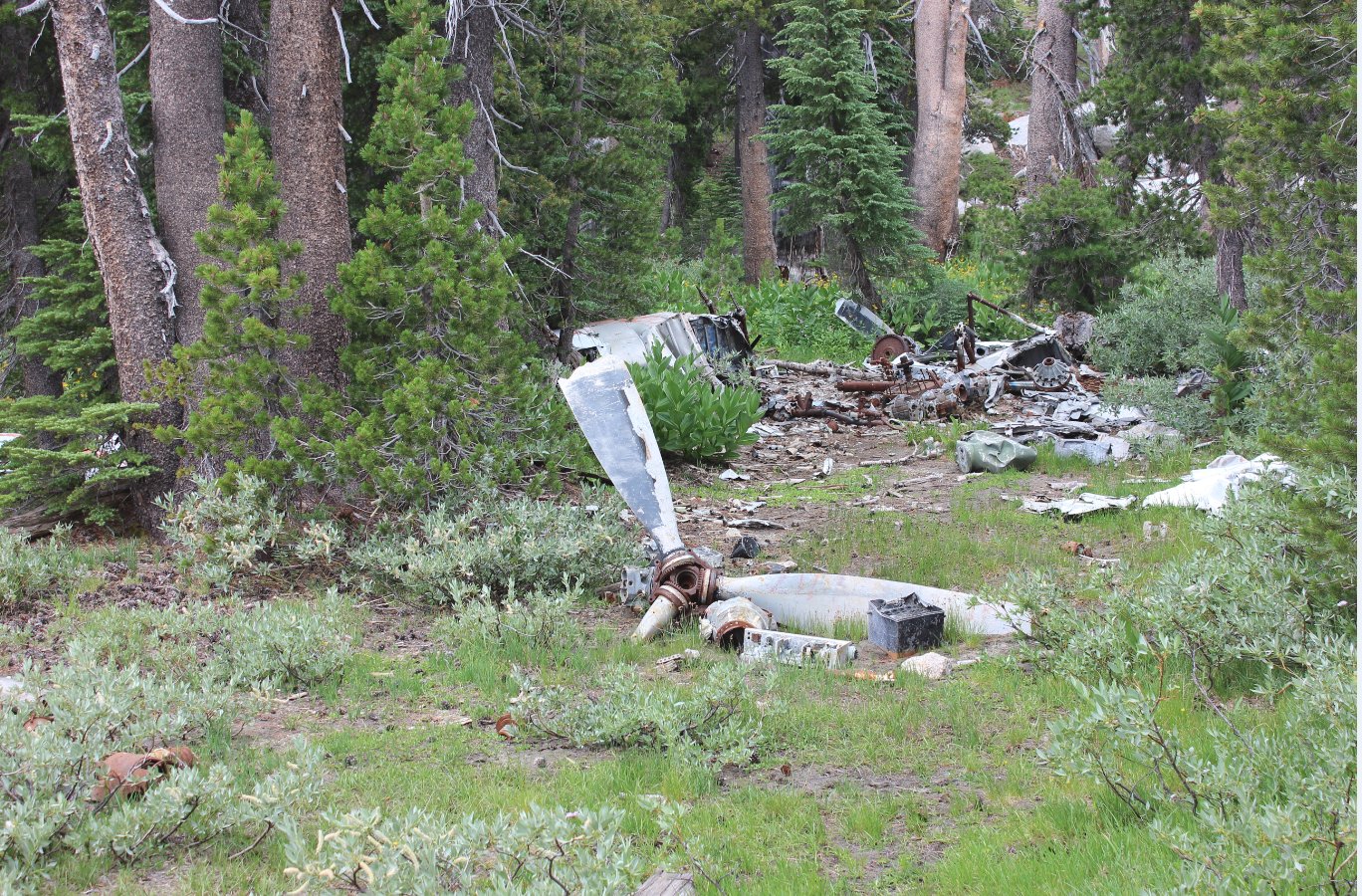 First glimpse of crash site