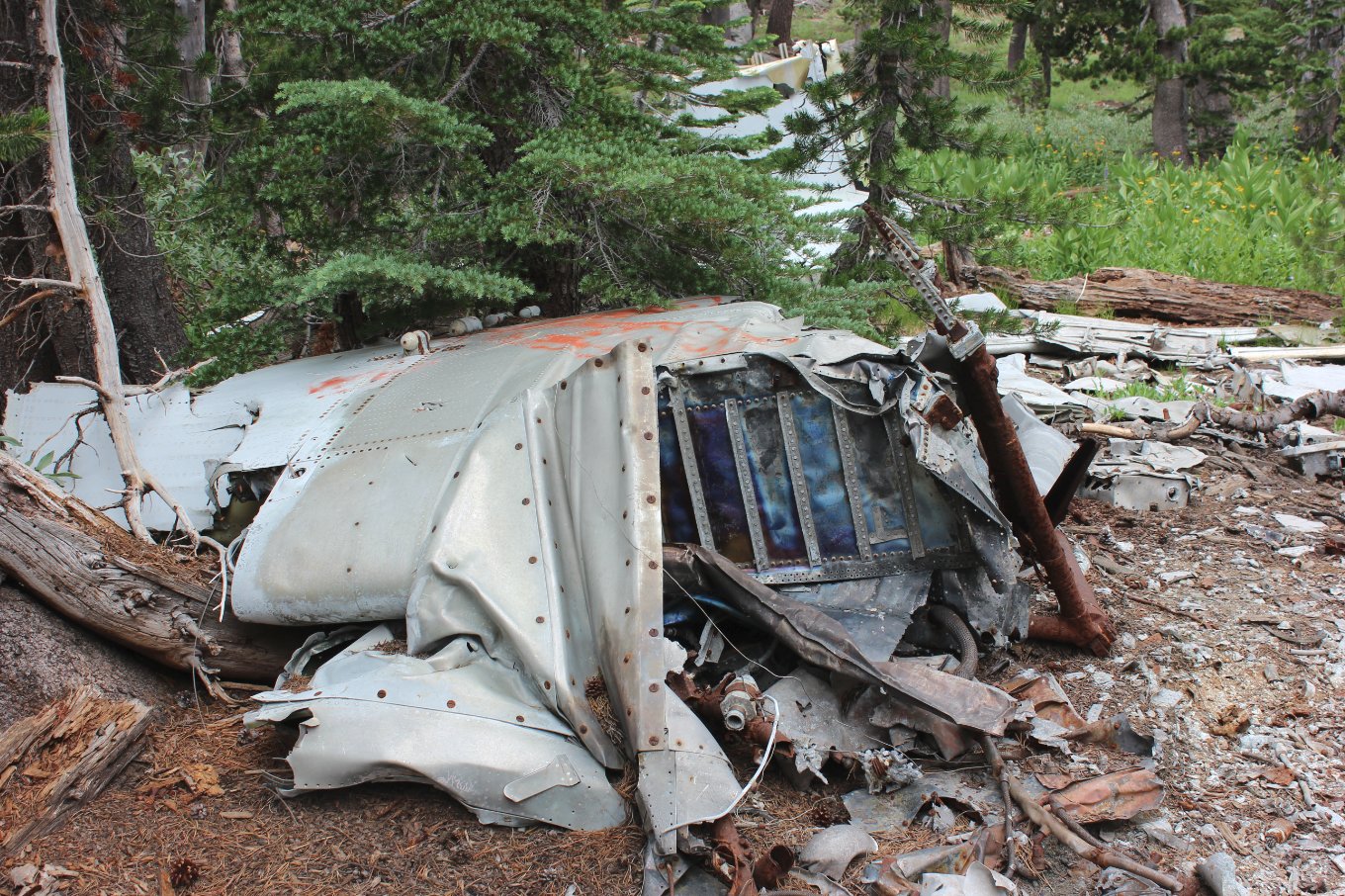 Much of the fuselage
