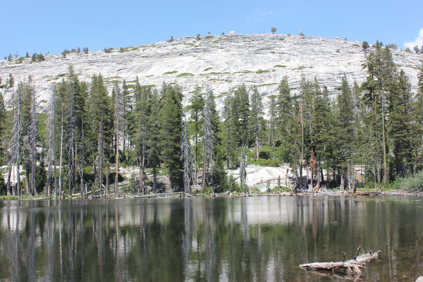Looking east across Pearl Lake