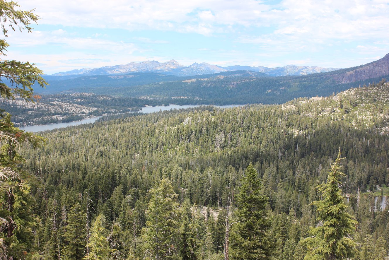 Ridge view