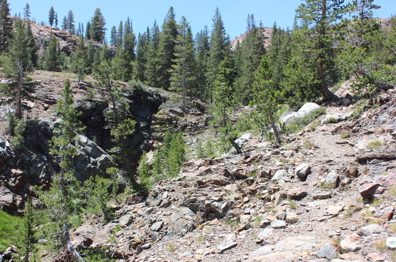 Typical trail