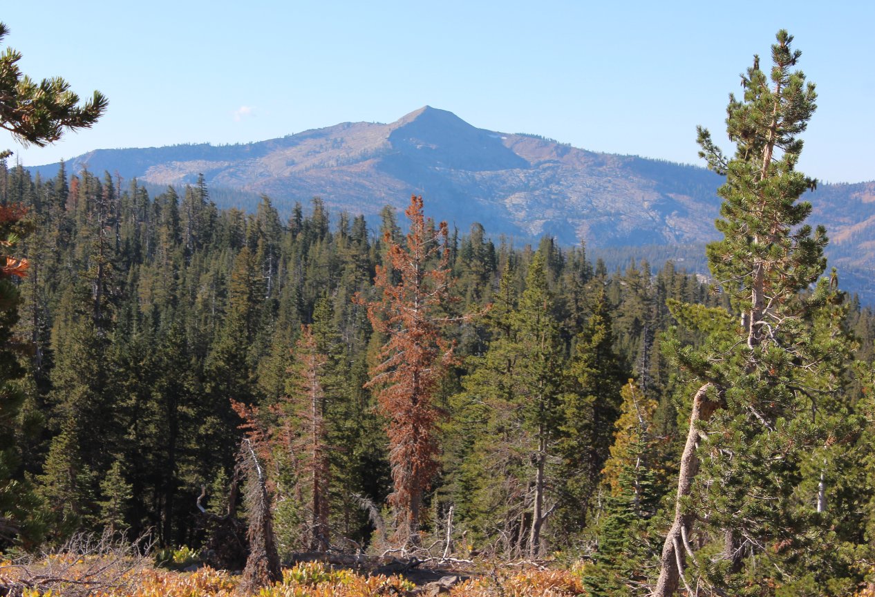 Mokelumne Peak