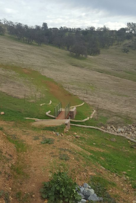 Trail and first bridge