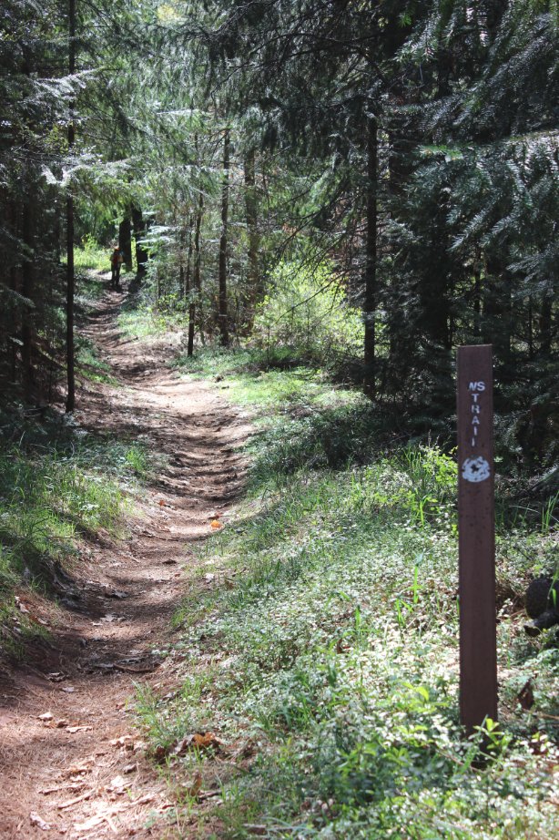 WS100