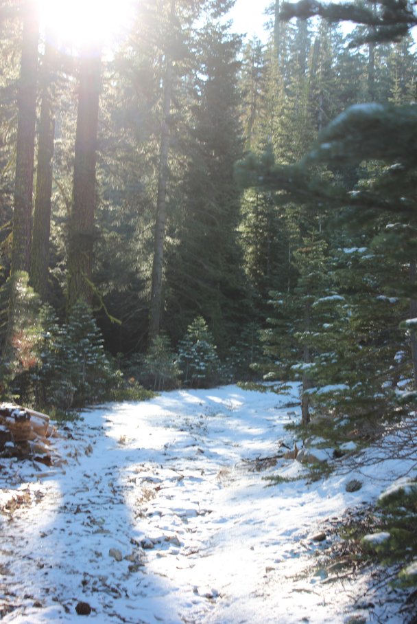 Cody Meadow Trail