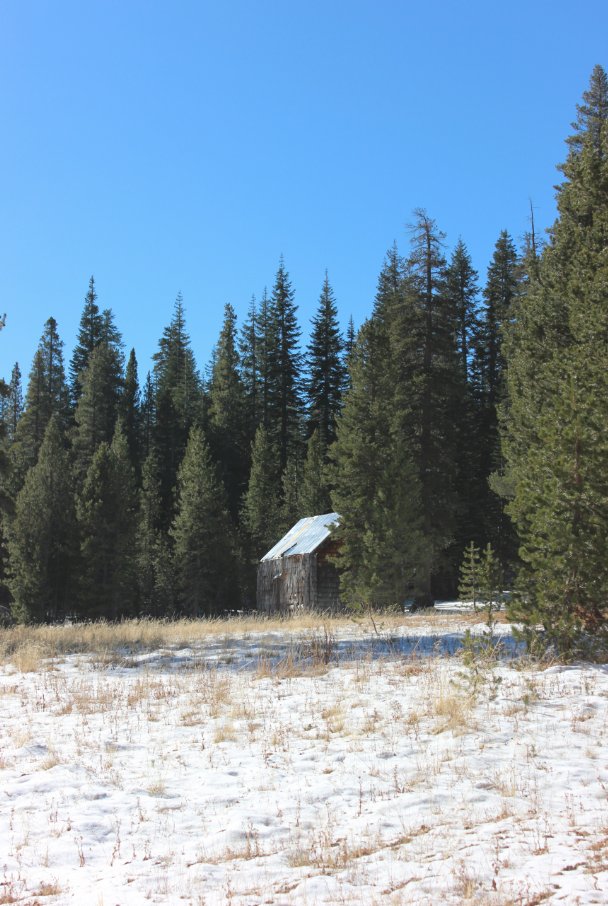 Cody Meadow Cabin