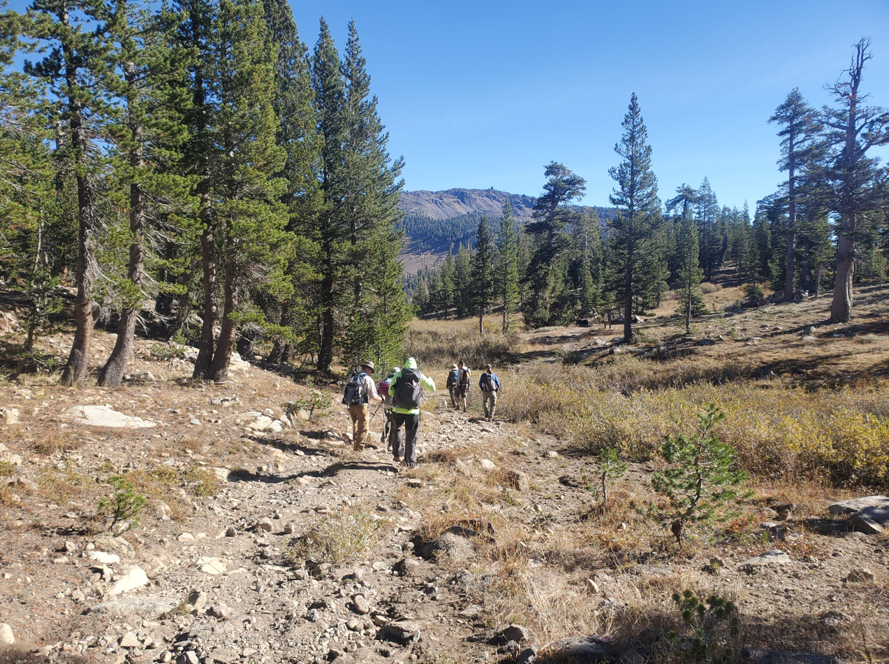 Lower Gardner Meadow