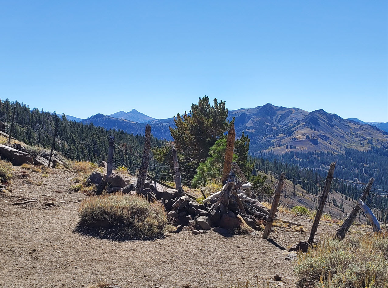 Looking south into the Wilderness