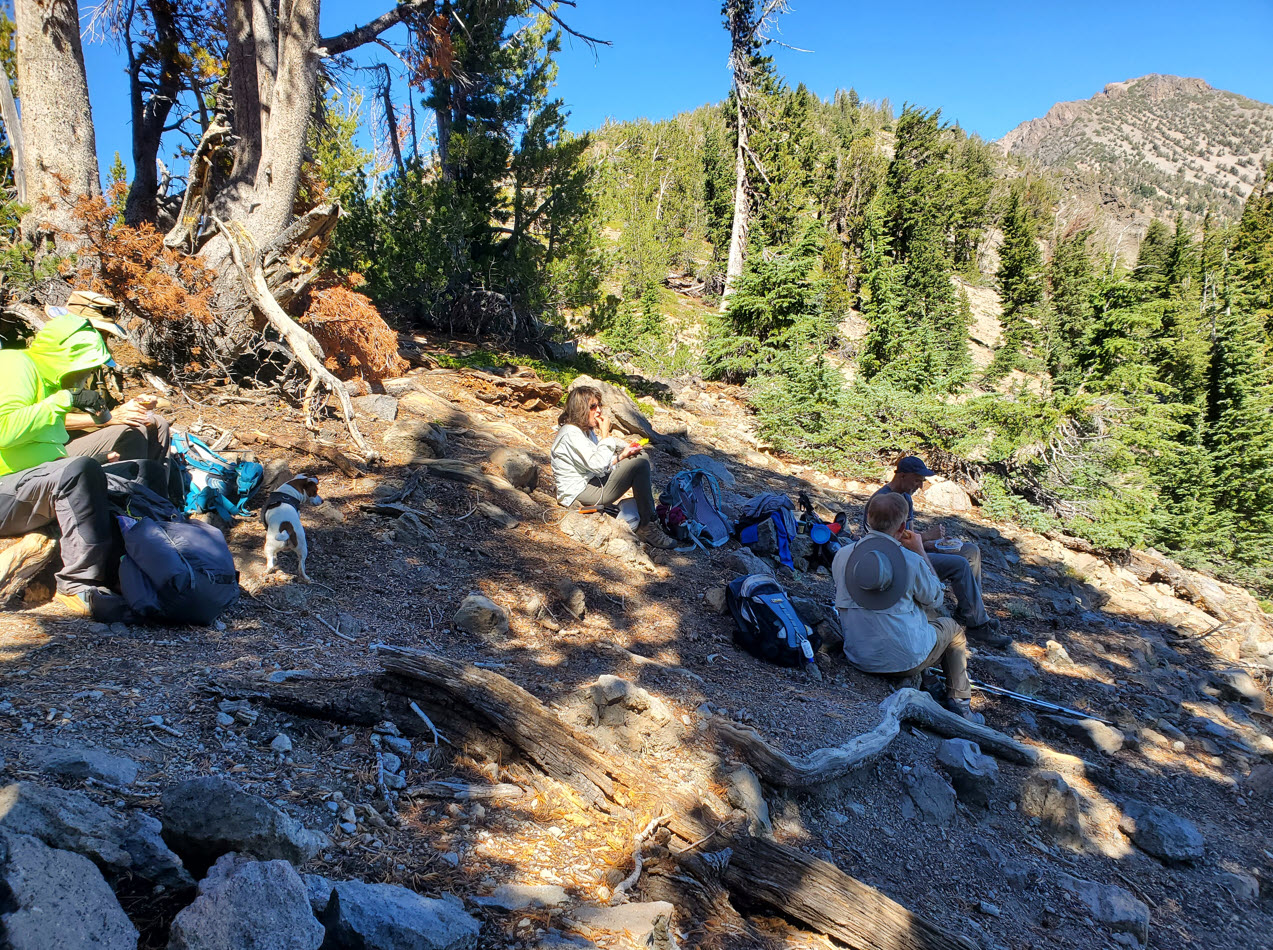 Lunch spot