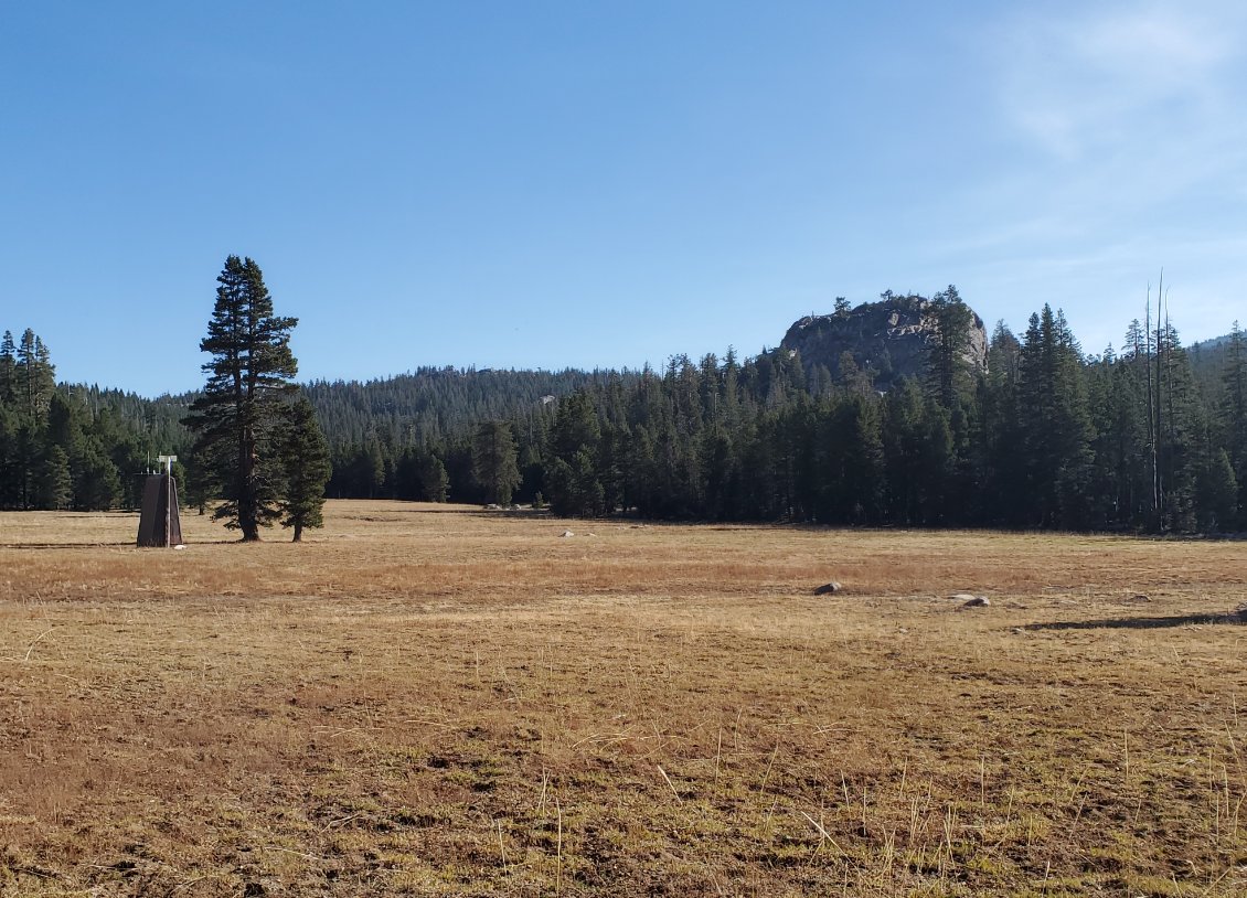 More meadow