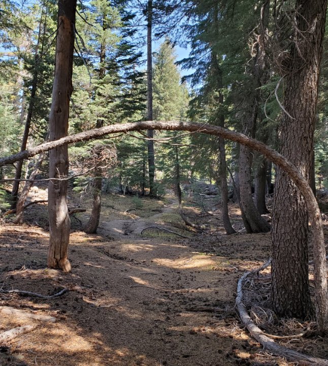 Archway