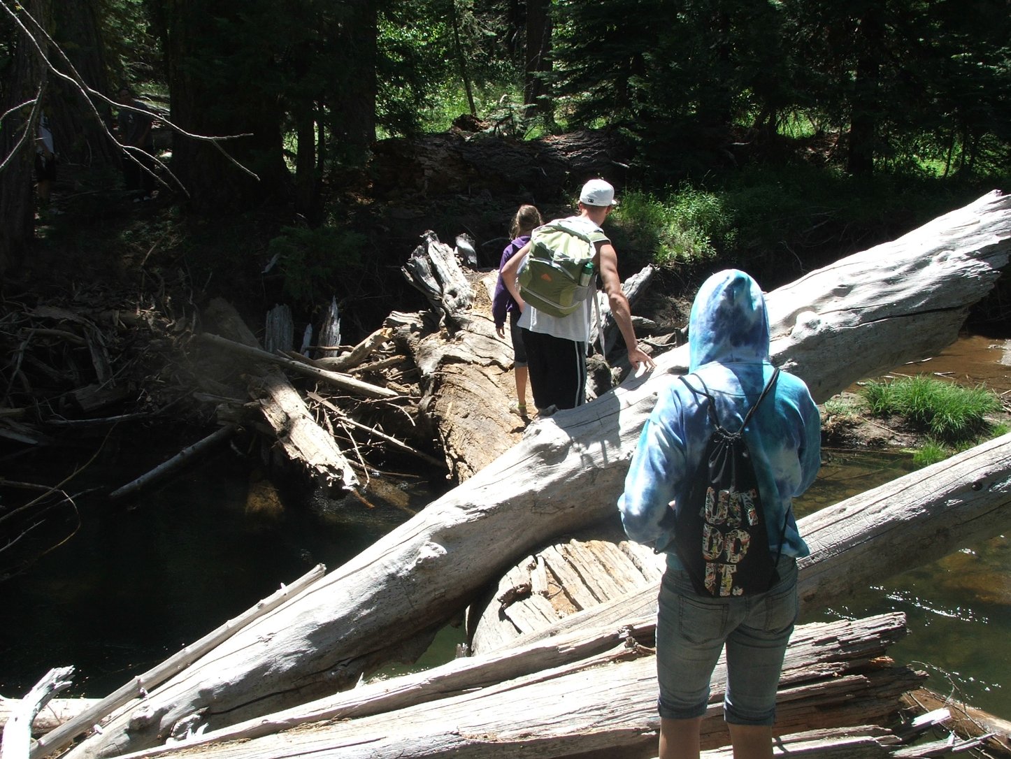 Crossing the creek