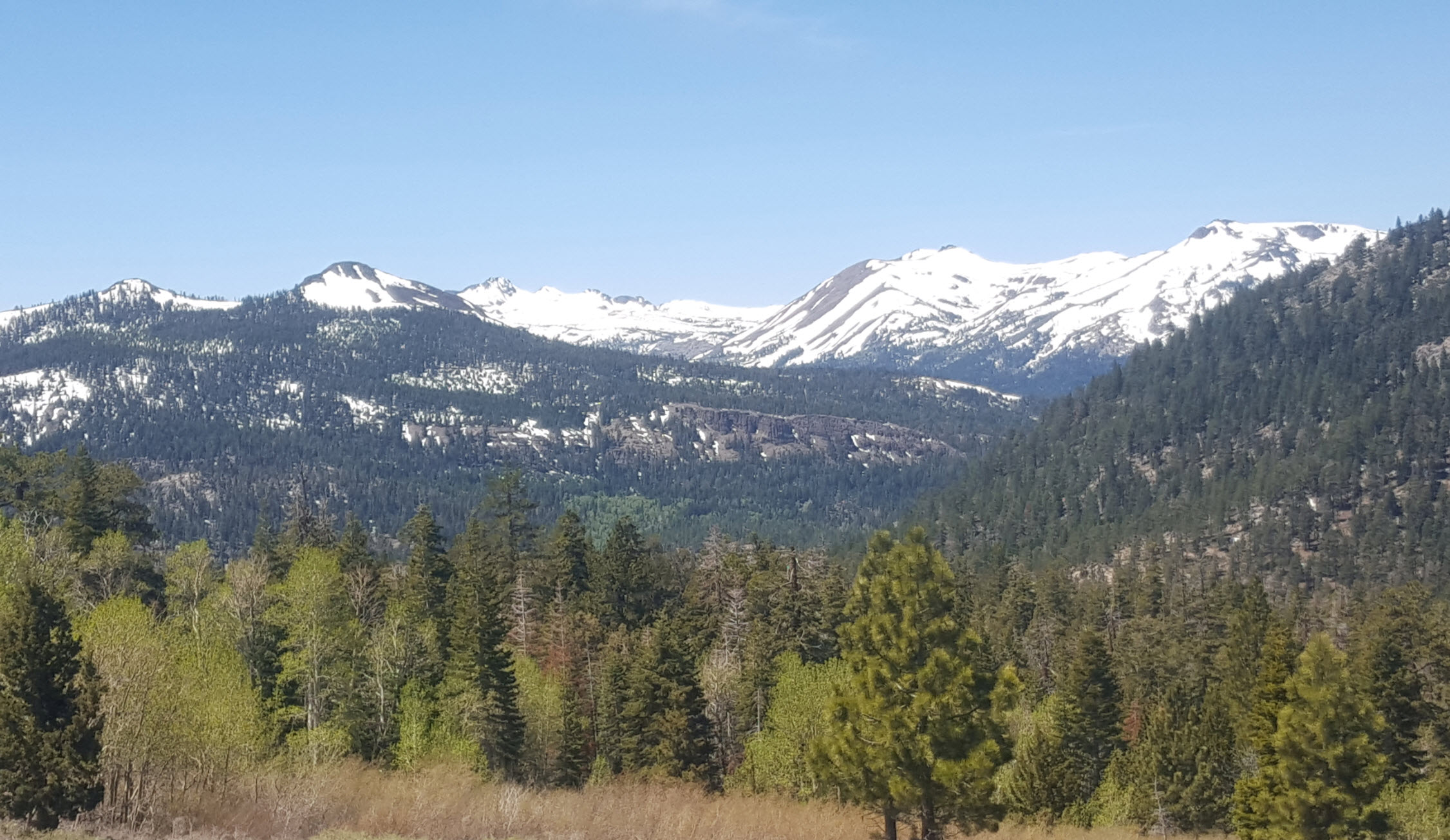 Carson Pass