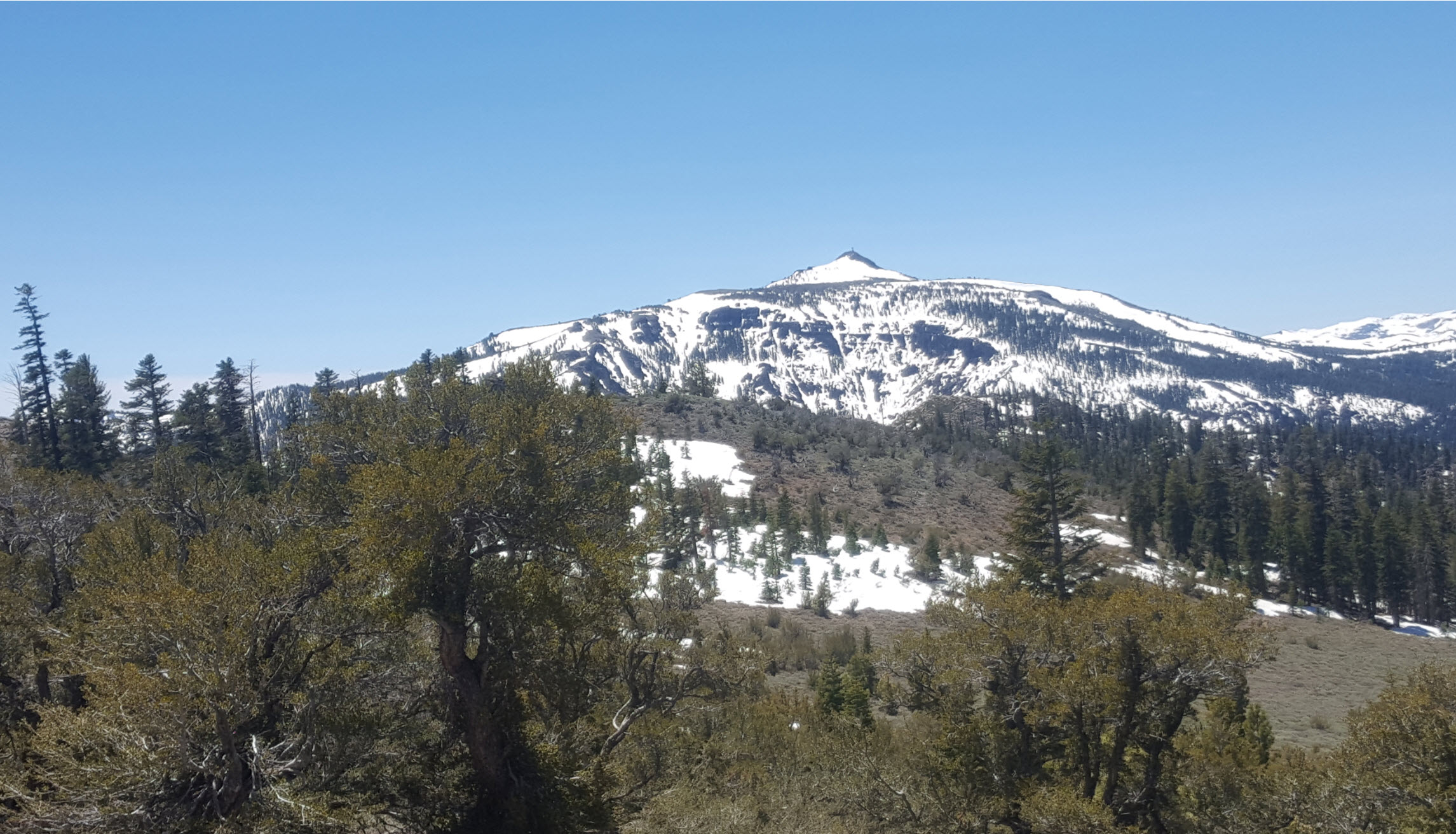 Hawkins Peak