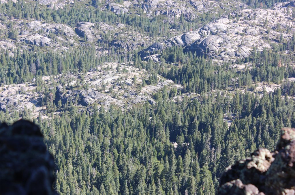 Caples Creek drainage