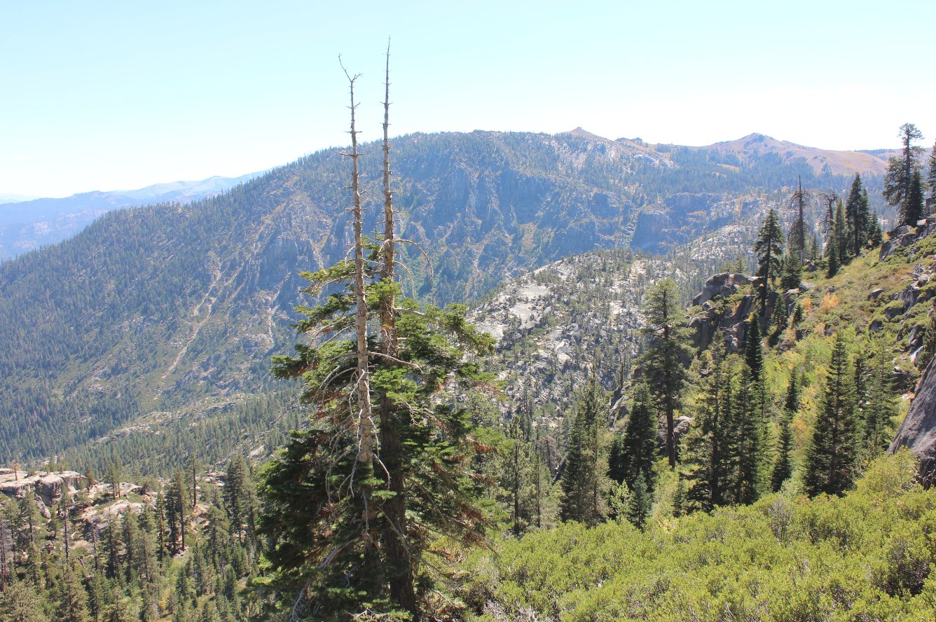 Looking south