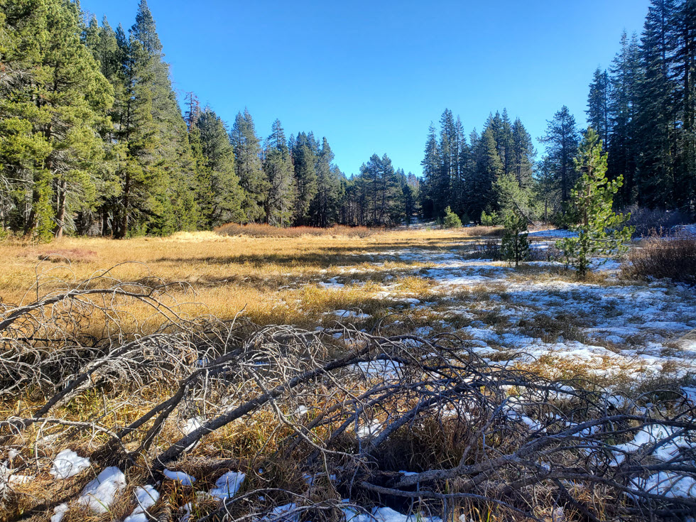 Large Meadow