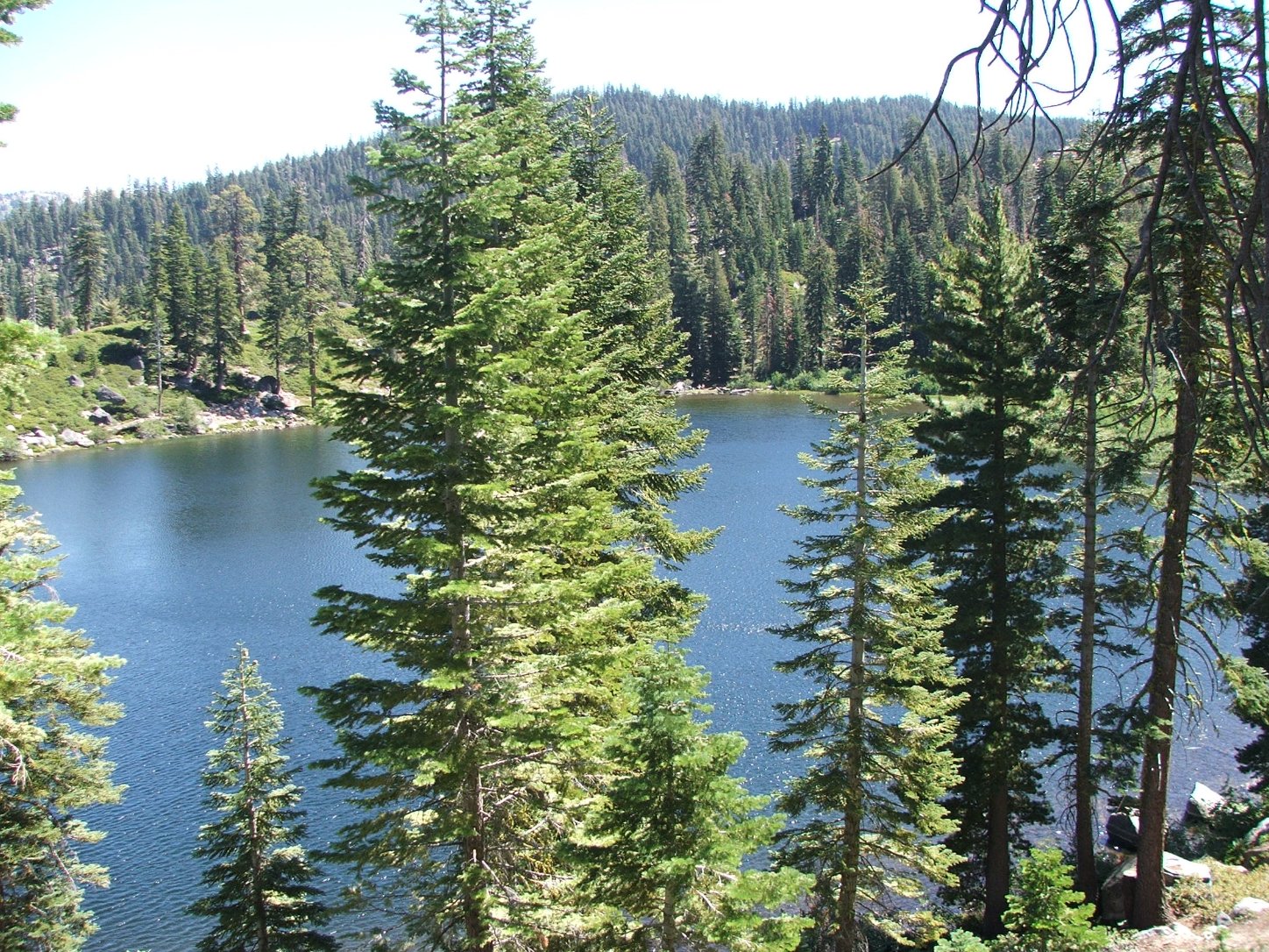 Down to the lake