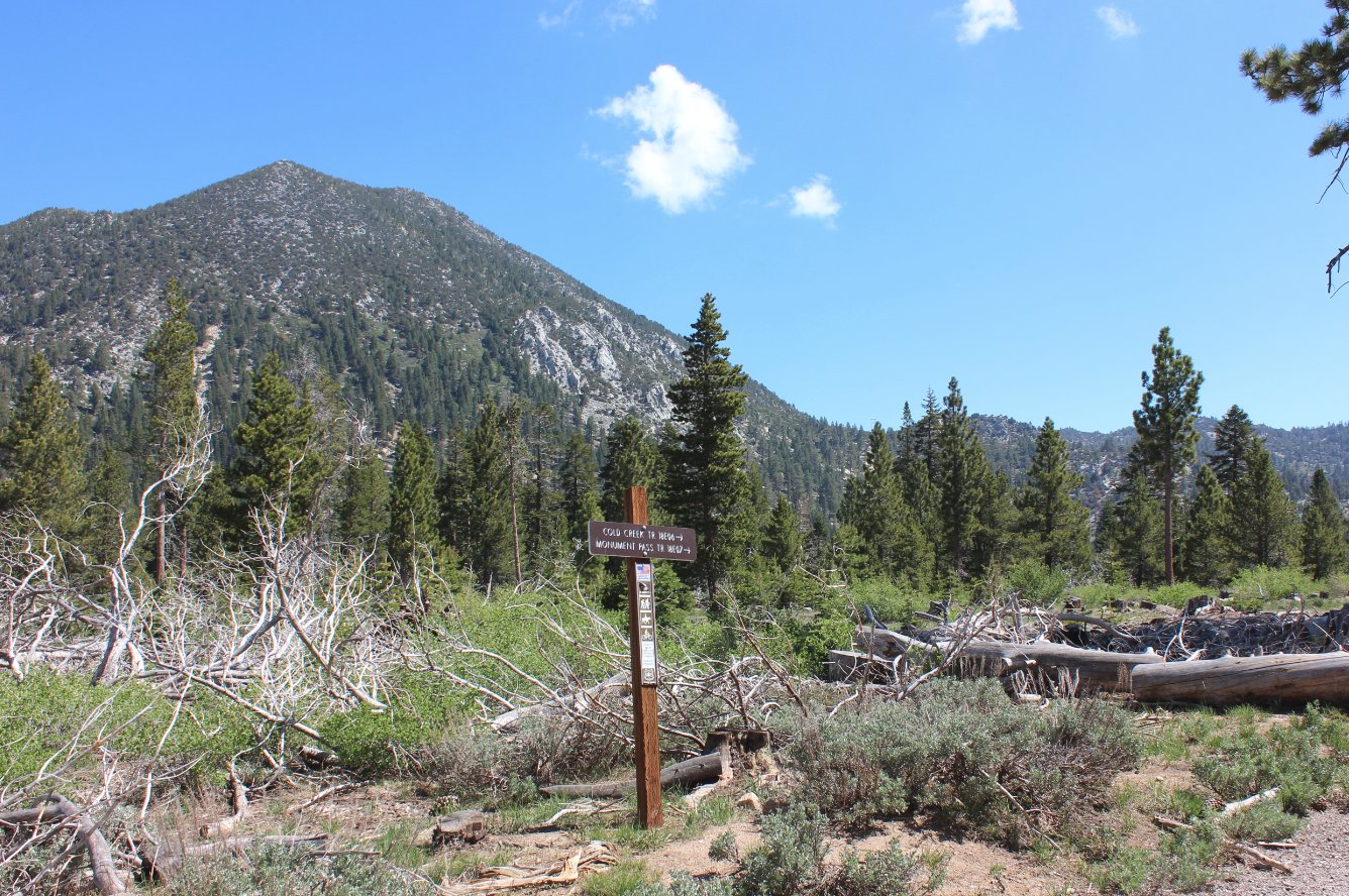 Trail marker