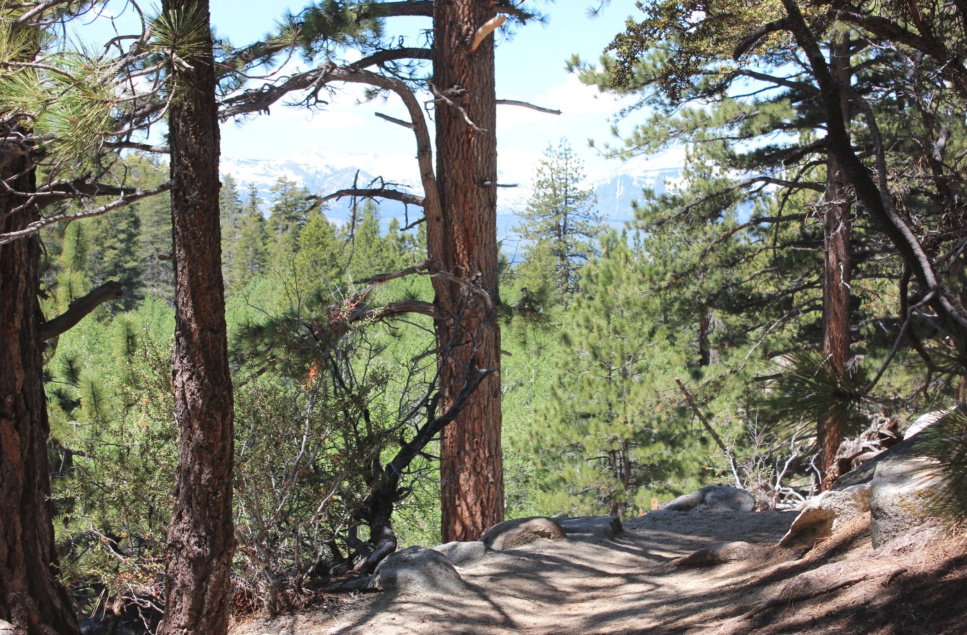 Cold Creek trail