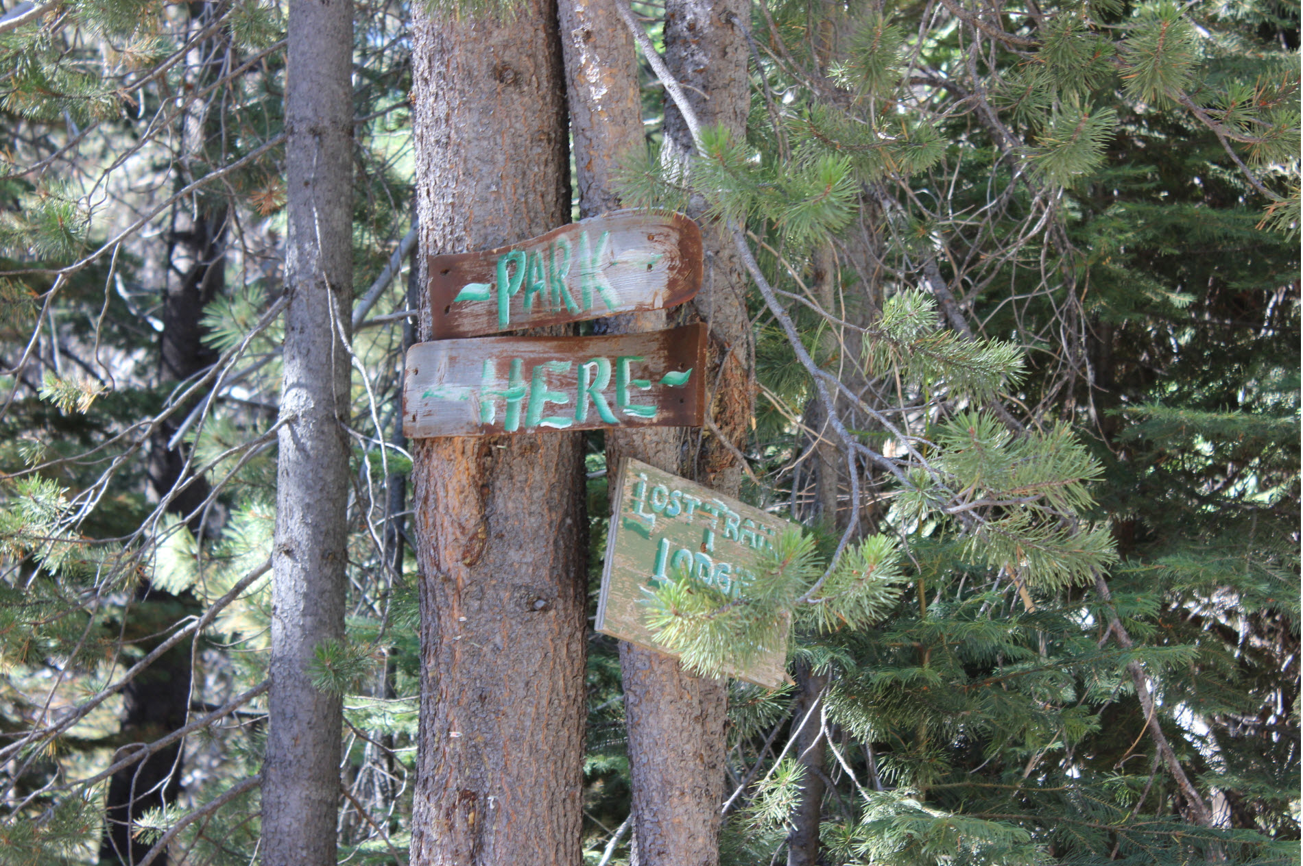 Parking signs