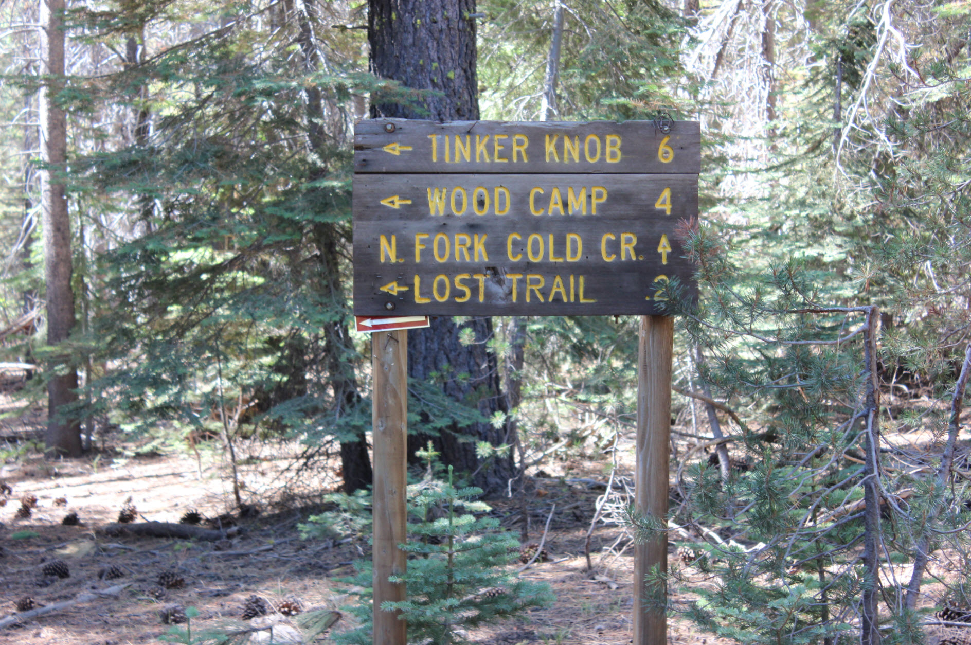 Early signpost