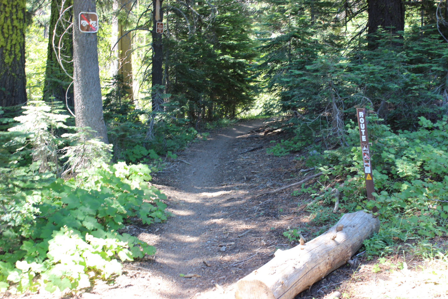 Trail transition