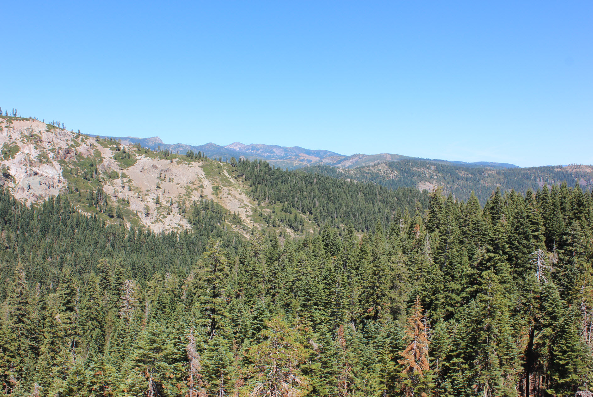 Looking north