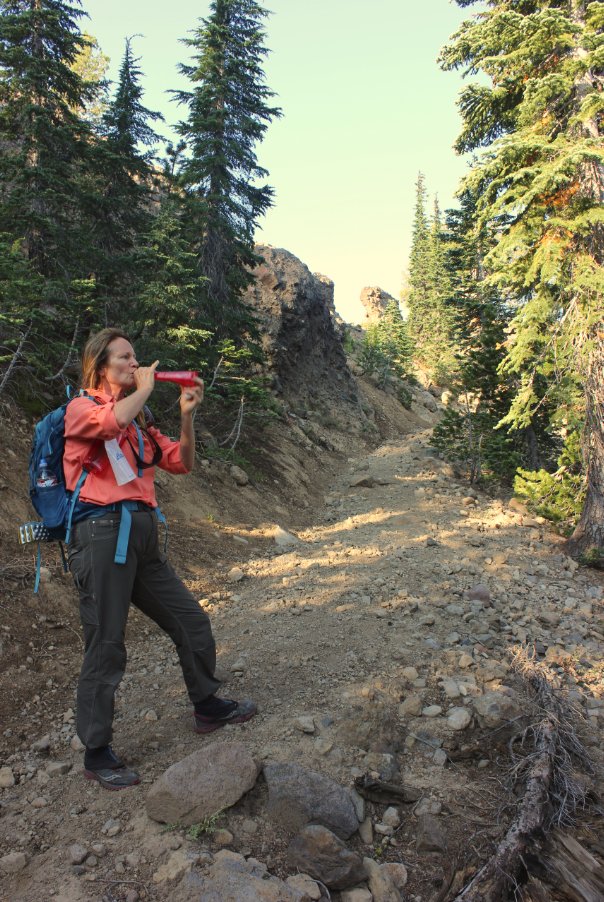 Rocky trail