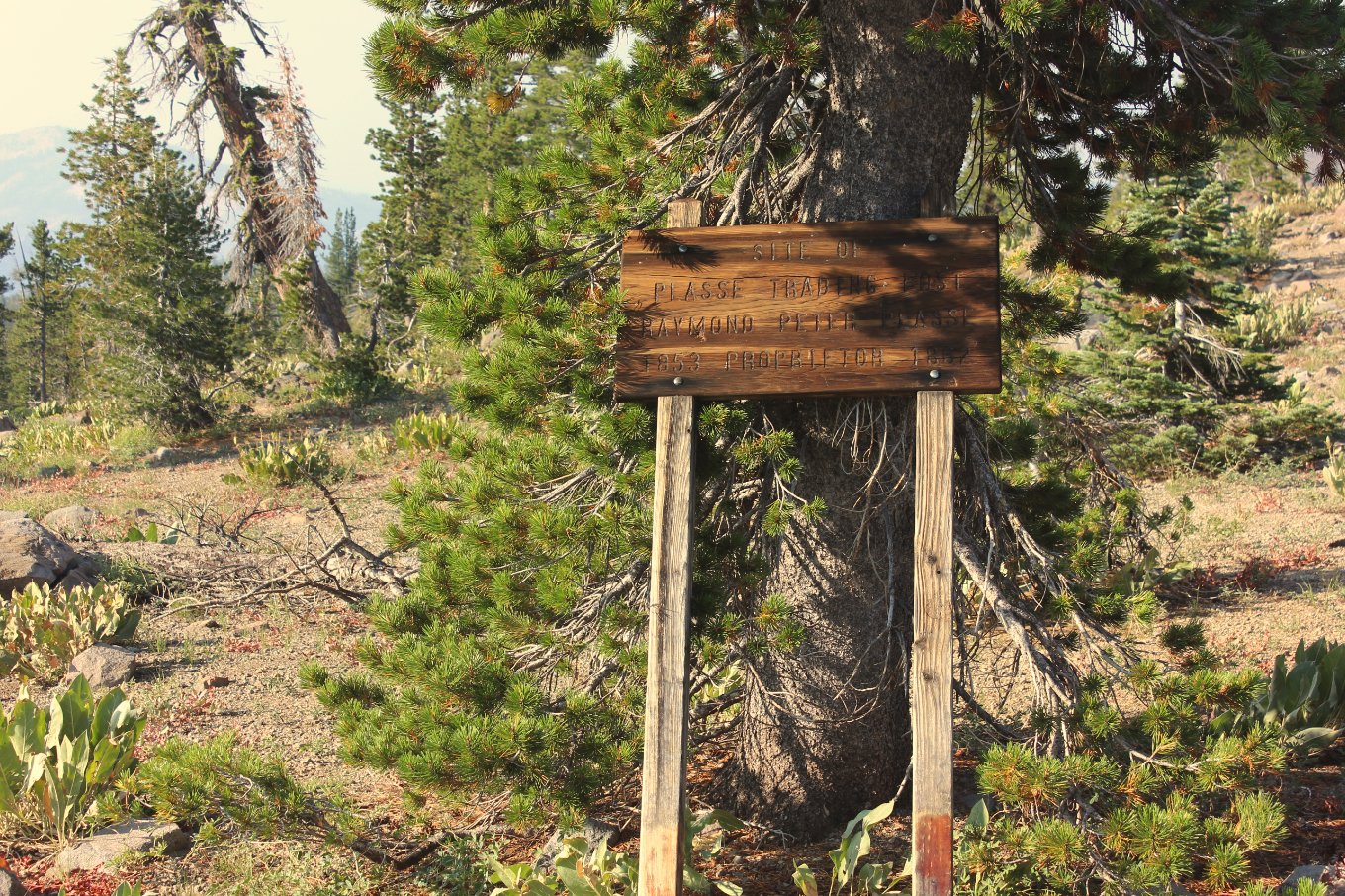 Plasse Marker