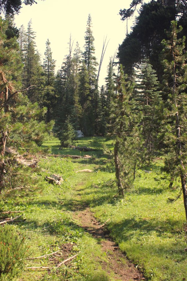 Great trail