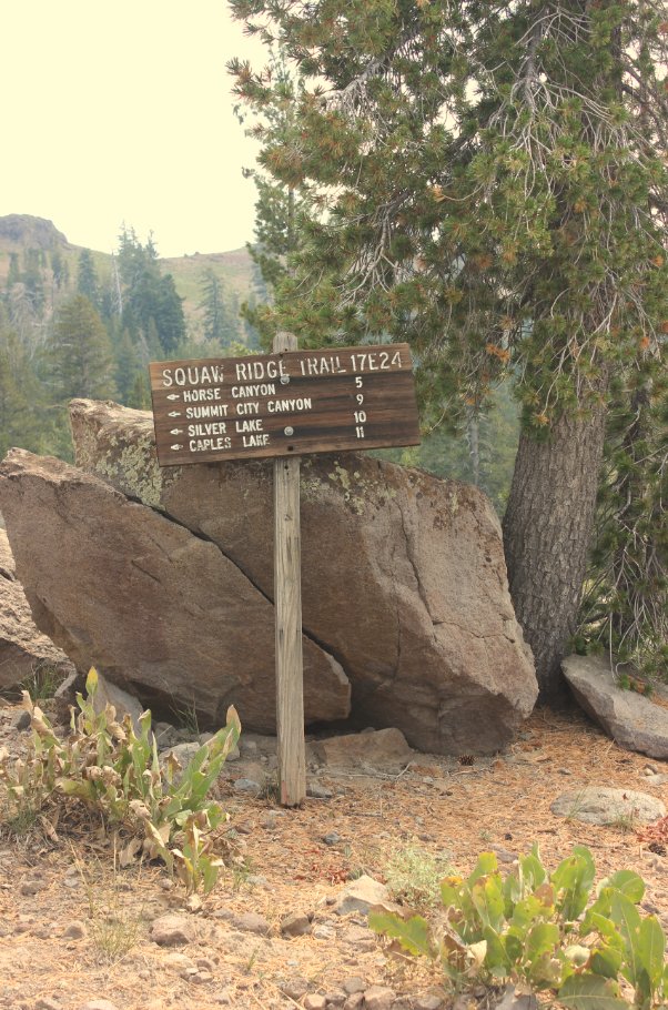 Another damaged sign