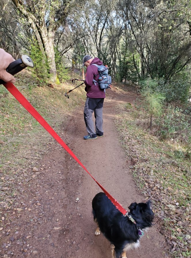 Early trail